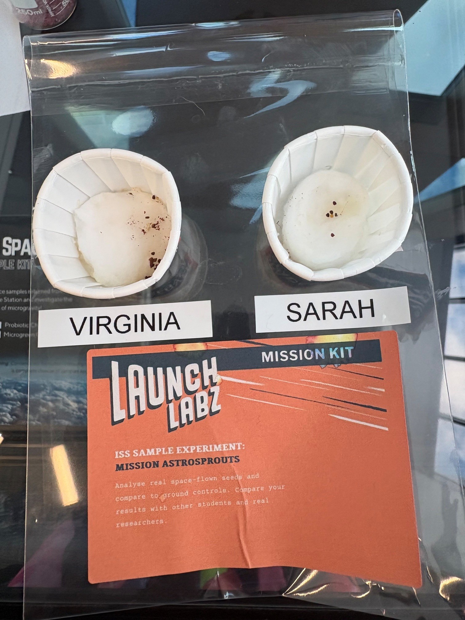 Photo of Virginia (earth) and Sarah (space)