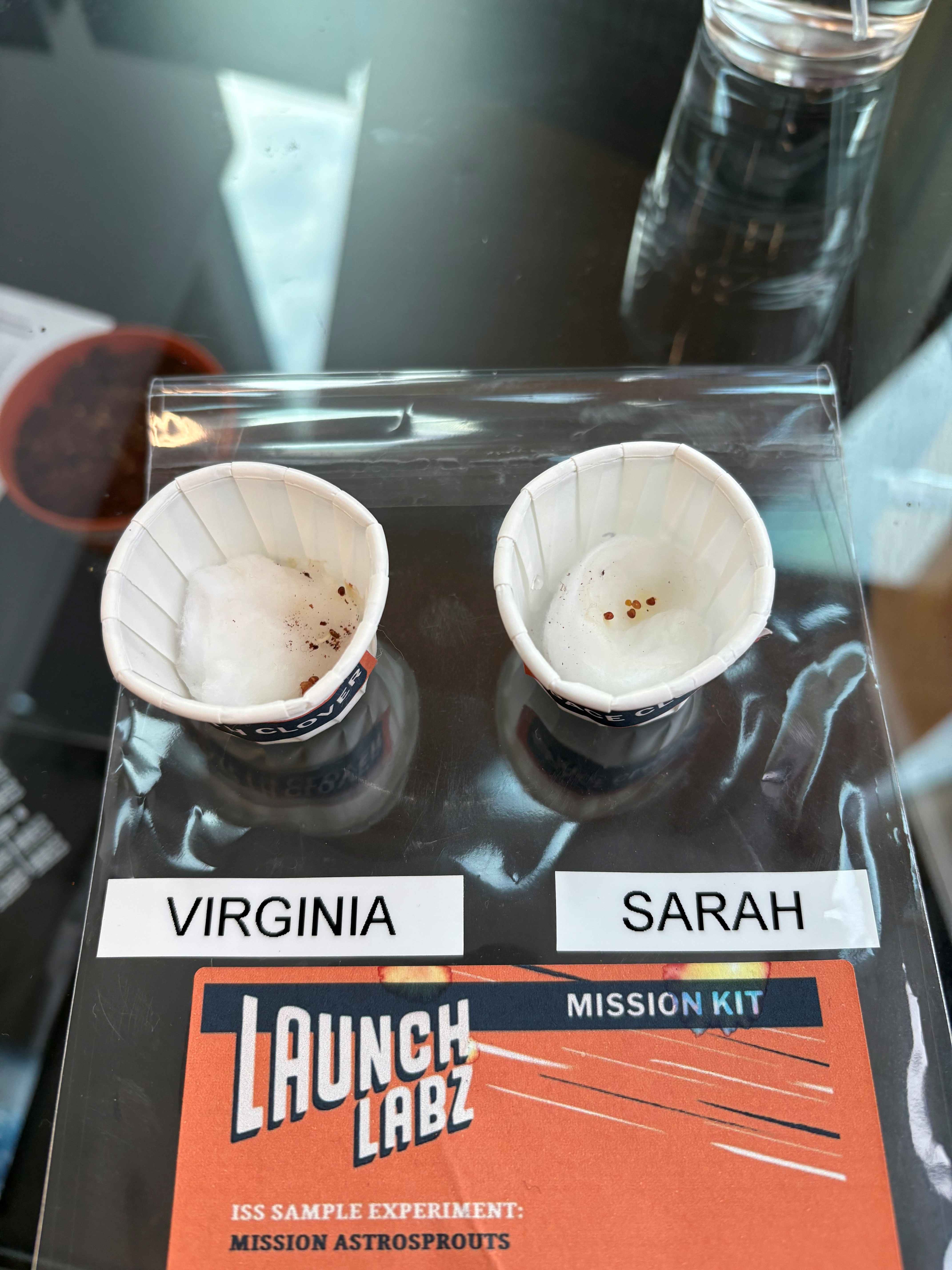 Photo of Virginia (earth) and Sarah (space)