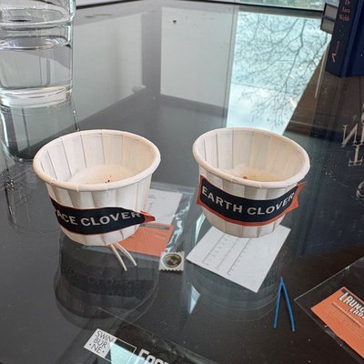 Photo of Emma (space) and Ciara (earth) — 22 Jun 2026